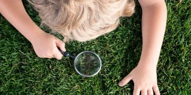 Çocuklara Doğa Sevgisi Nasıl Aşılanır?